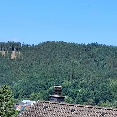 Les Mesanges Bleu Мальмеди