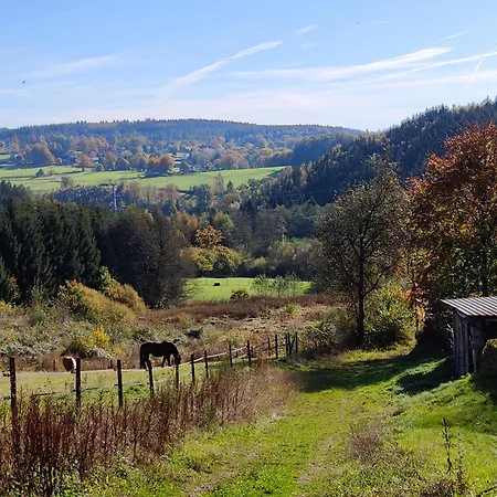 Les Mesanges Bleu 3* Malmedy