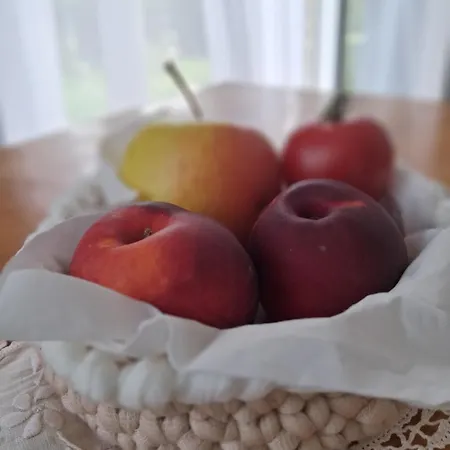 Les Mesanges Bleu 3* Malmedy