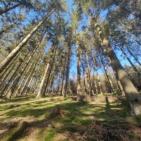 Les Mesanges Bleu Bed & Breakfast 3*