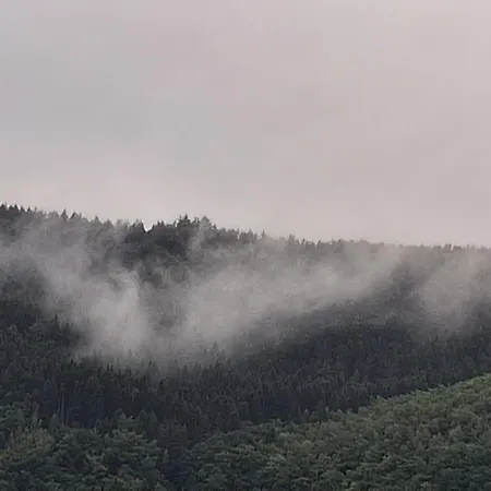 Les Mesanges Bleu Bed & Breakfast