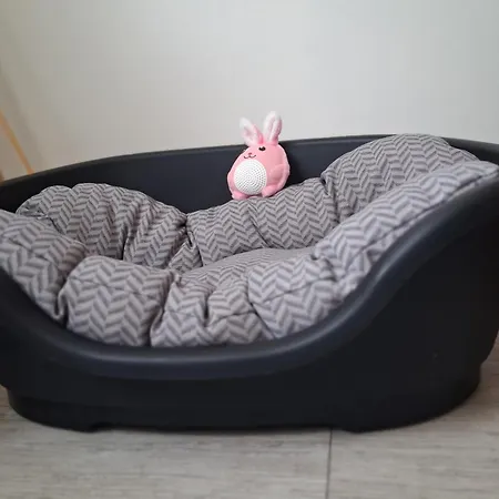 Les Mesanges Bleu Bed & Breakfast