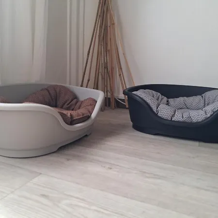 Les Mesanges Bleu Bed & Breakfast 3*