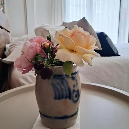 Bed & Breakfast Les Mesanges Bleu 3*