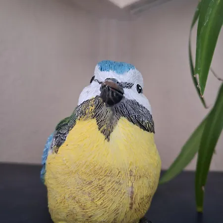 Les Mesanges Bleu 3*