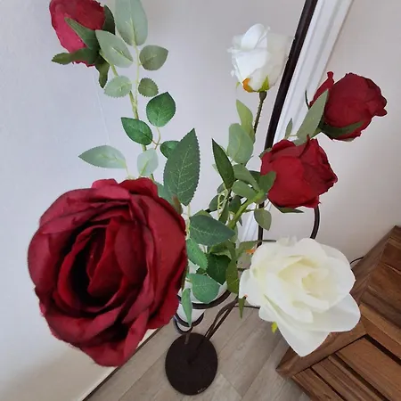 Bed & Breakfast Les Mesanges Bleu