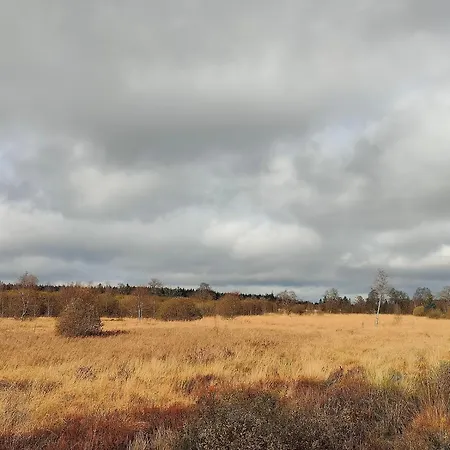 Bed & Breakfast Les Mesanges Bleu Malmedy