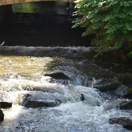 Les Mesanges Bleu Bed & Breakfast