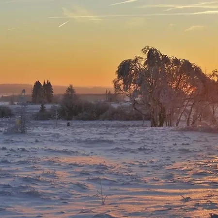 Bed & Breakfast Les Mesanges Bleu 3*