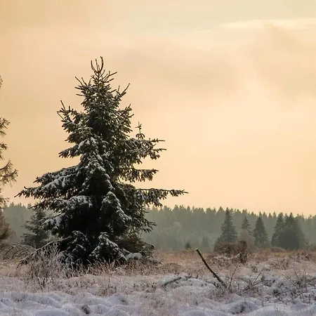 Les Mesanges Bleu 3*