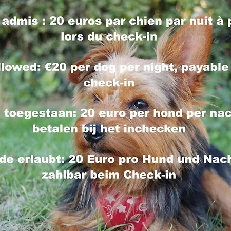 Les Mesanges Bleu 3*