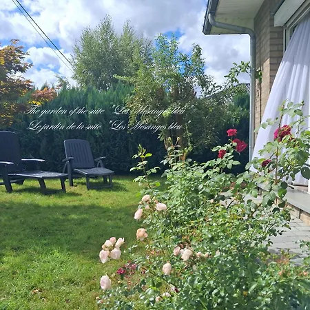 Bed & Breakfast Les Mesanges Bleu