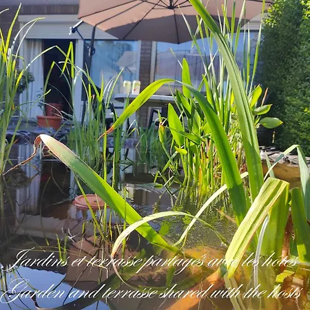 Bed & Breakfast Les Mesanges Bleu 3*