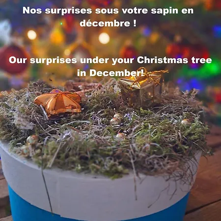 Les Mesanges Bleu Bed & Breakfast 3*